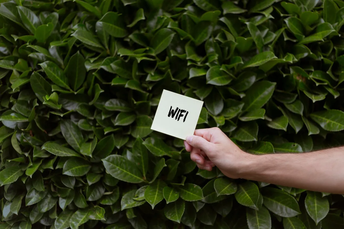 Micro-onduleur WiFi hors ligne : troubleshoot et reconnexion passerelle