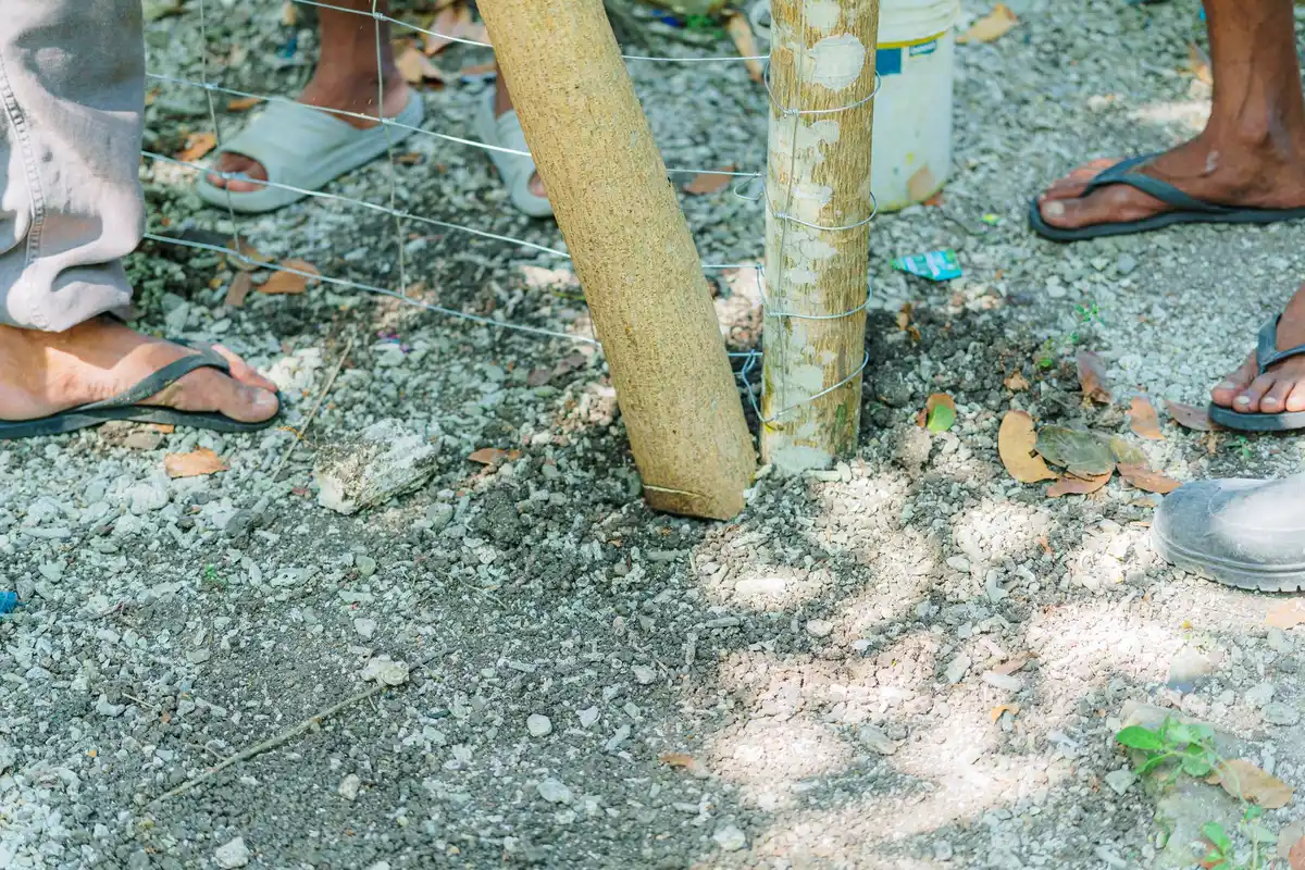 Installation d'un piquet de terre en cuivre dans un jardin résidentiel